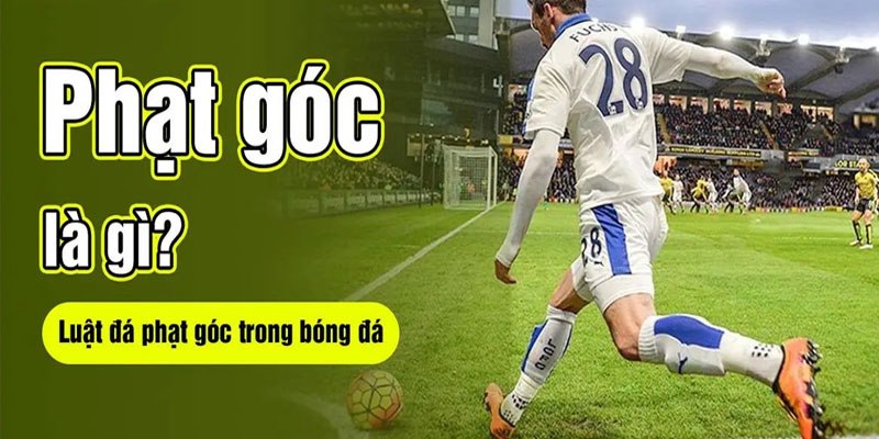 da-phat-goc-luat-choi